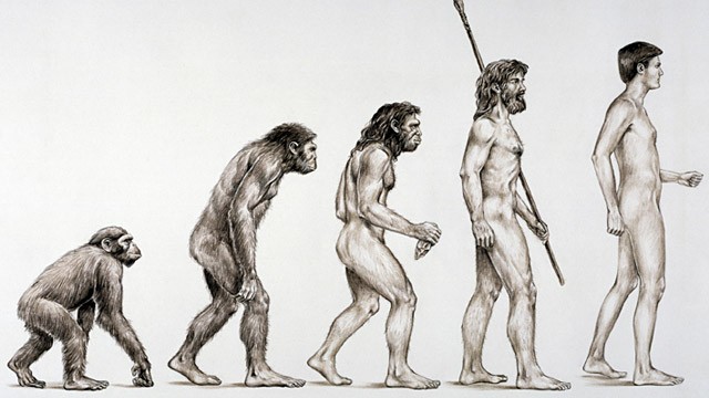 evolution-of-man.jpg