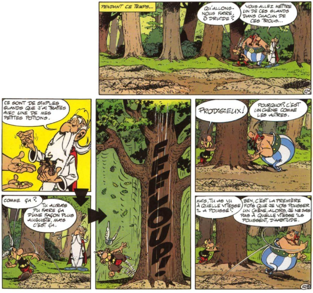 asterix-domaine-des-dieux-p-12.jpg