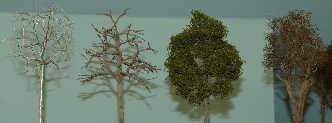 Types d'arbres A.JPG