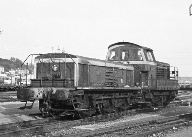 31 - C 61047 et TC 61107 au Triage du Havre.jpg
